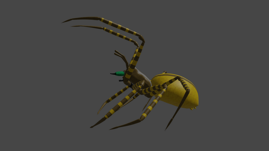 Le pose dei ragni: modello 3D